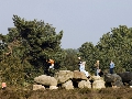 Nederland, Havelte, 11 okt 2006(Voormalig) militair oefenterrein Havelte-oost.Terrein is of wordt afgestoten door Defensie en wordt natuurgebiedFoto: (c) Michiel Wijnbergh