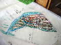 IMG_6972