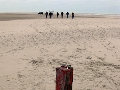strand-3
