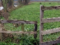 IMG_9962