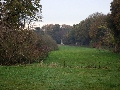 IMG_9976