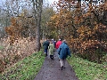 IMG_0377