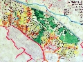 IMG_0464
